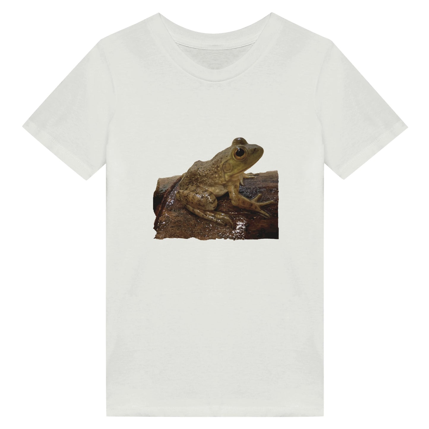 0d68a8f8-345a-49ed-ac17-7f8d1c4517bf